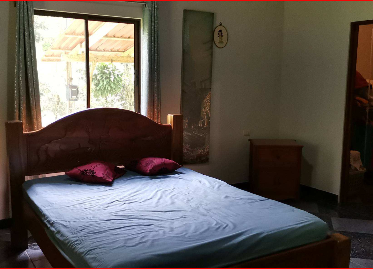 Homes for sale in Nuevo Arenal Costa Rica