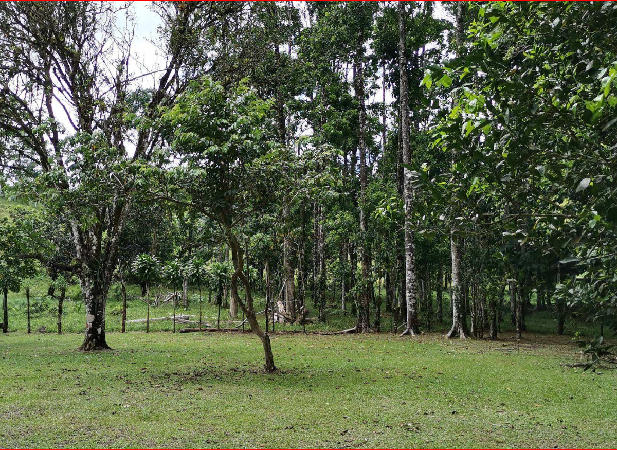 Homes for sale in Nuevo Arenal Costa Rica