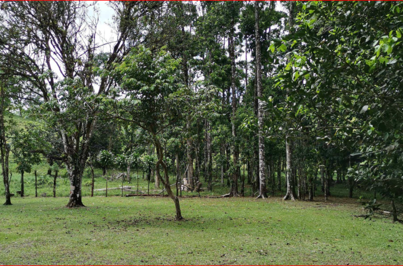Homes for sale in Nuevo Arenal Costa Rica