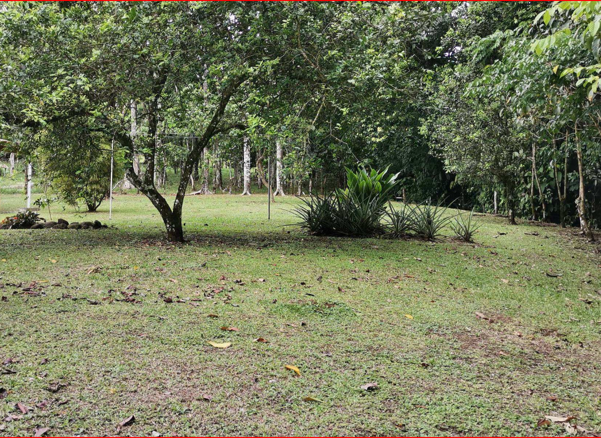 Homes for sale in Nuevo Arenal Costa Rica
