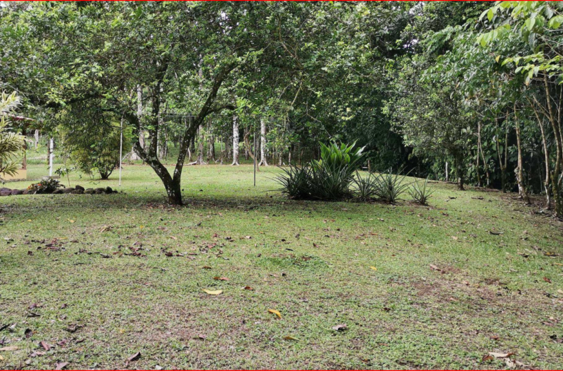 Homes for sale in Nuevo Arenal Costa Rica