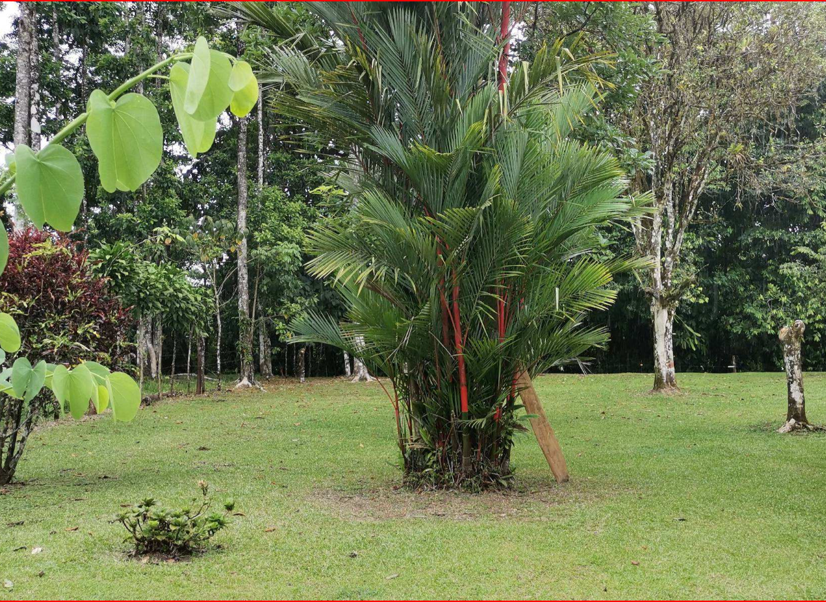Homes for sale in Nuevo Arenal Costa Rica