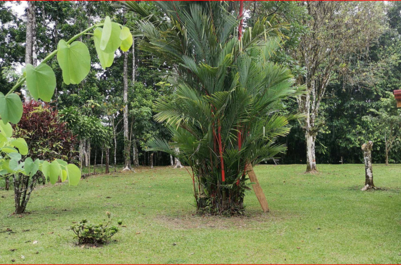 Homes for sale in Nuevo Arenal Costa Rica