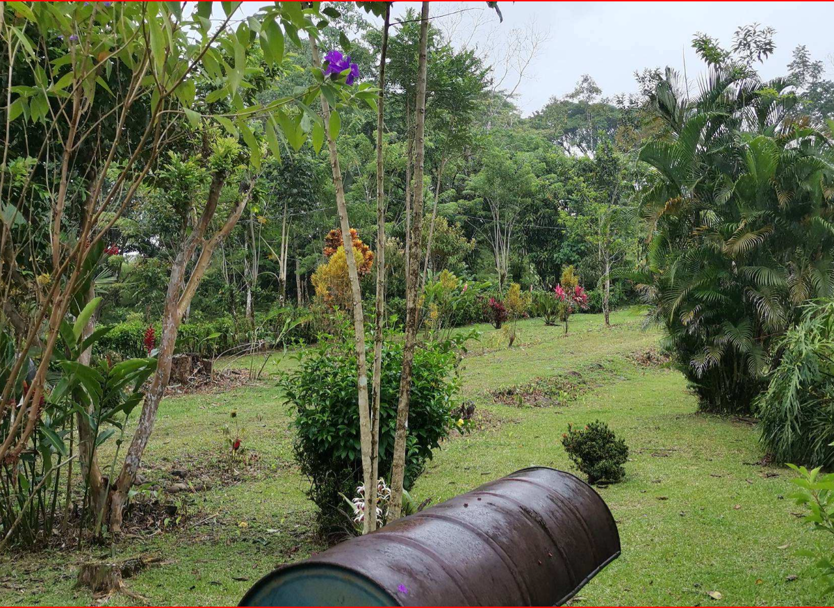 Homes for sale in Nuevo Arenal Costa Rica