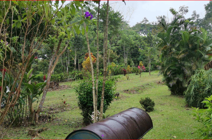 Homes for sale in Nuevo Arenal Costa Rica
