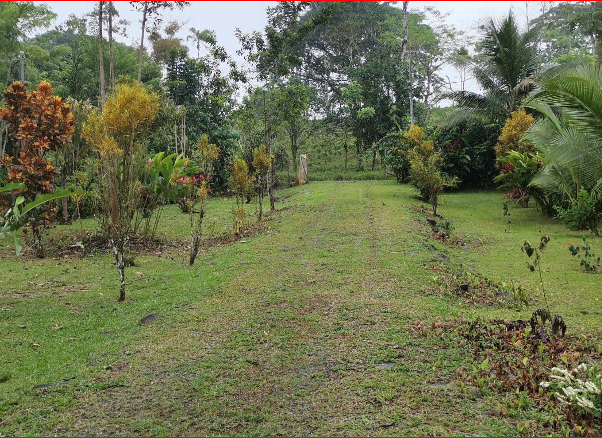 Homes for sale in Nuevo Arenal Costa Rica