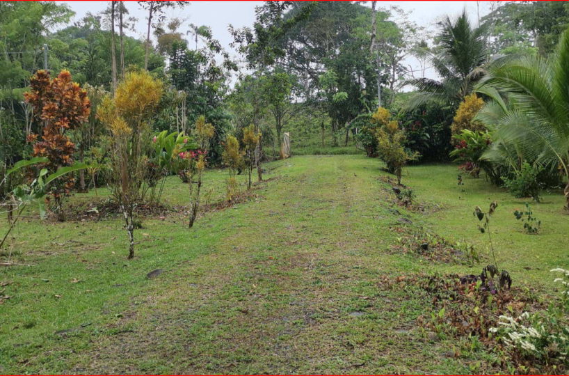Homes for sale in Nuevo Arenal Costa Rica