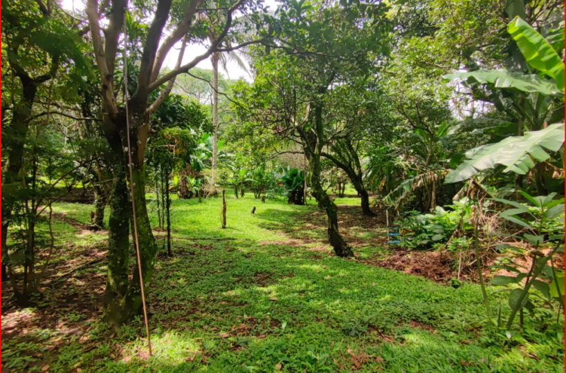 CommercialFarms and Ranches for sale in Tilarán Costa Rica