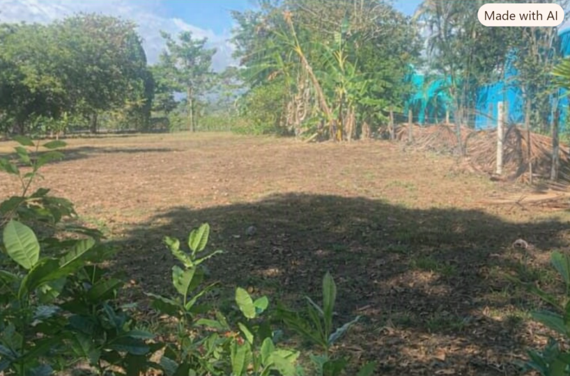Building Lots for sale in Esterillos Este Costa Rica