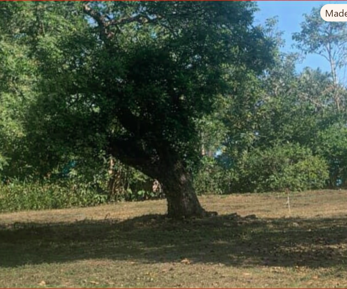 Building Lots for sale in Esterillos Este Costa Rica