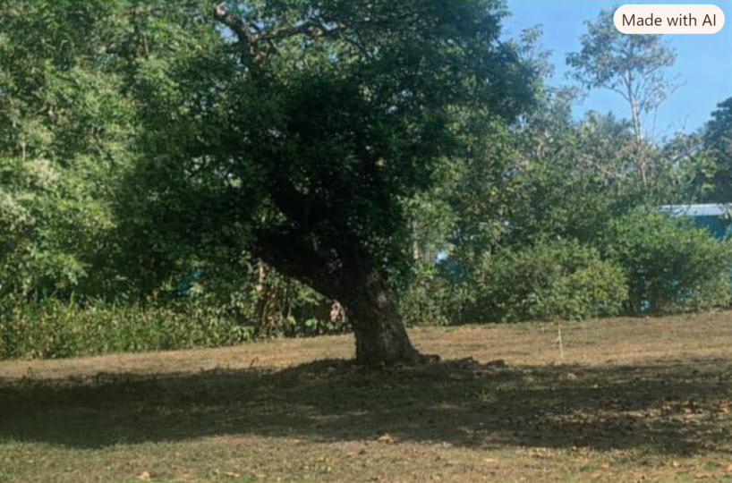 Building Lots for sale in Esterillos Este Costa Rica