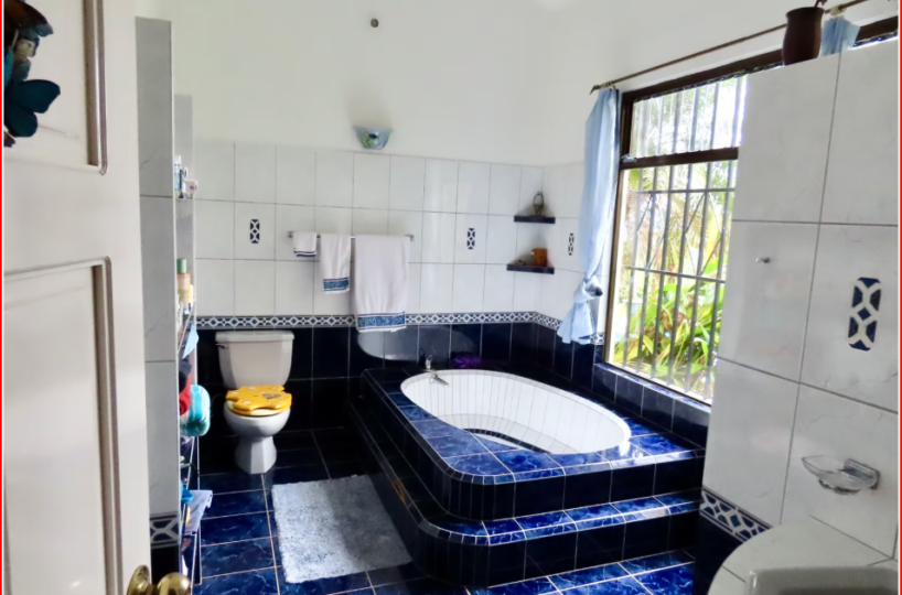 HomesHotel - B&B for sale in All ZonesNuevo Arenal Costa Rica