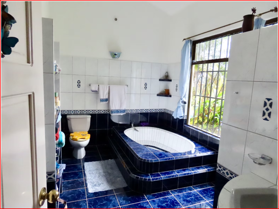 HomesHotel - B&B for sale in All ZonesNuevo Arenal Costa Rica