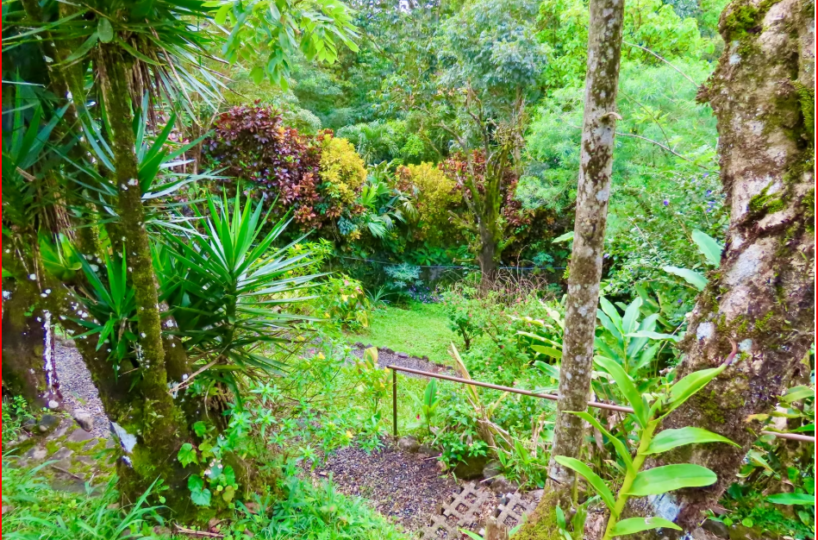 HomesHotel - B&B for sale in All ZonesNuevo Arenal Costa Rica