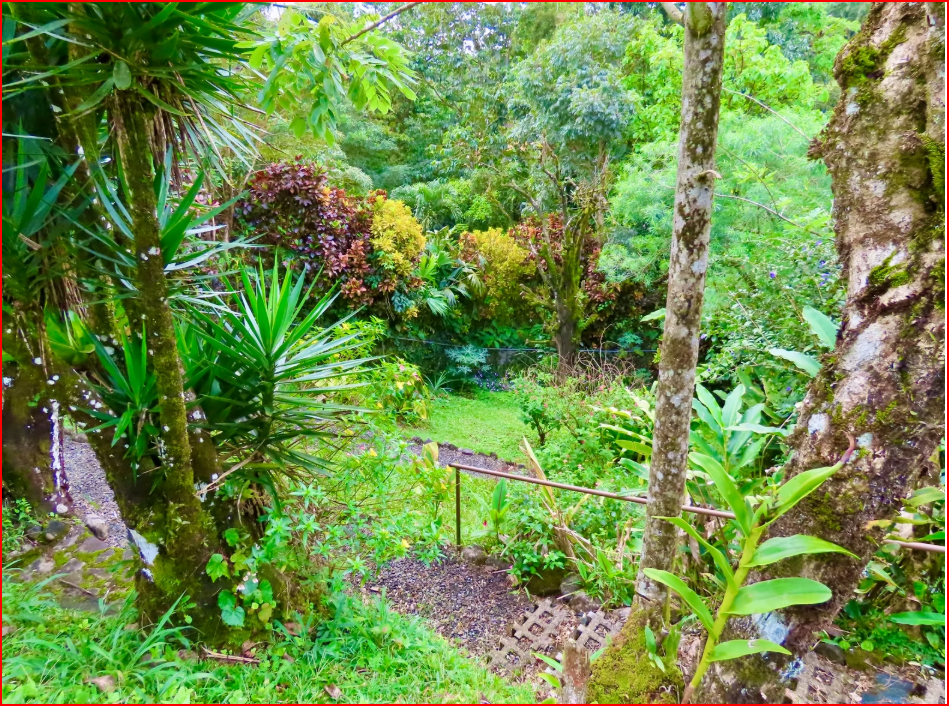 HomesHotel - B&B for sale in All ZonesNuevo Arenal Costa Rica