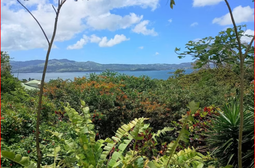HomesHotel - B&B for sale in All ZonesNuevo Arenal Costa Rica