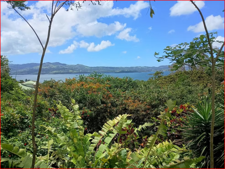 HomesHotel - B&B for sale in All ZonesNuevo Arenal Costa Rica