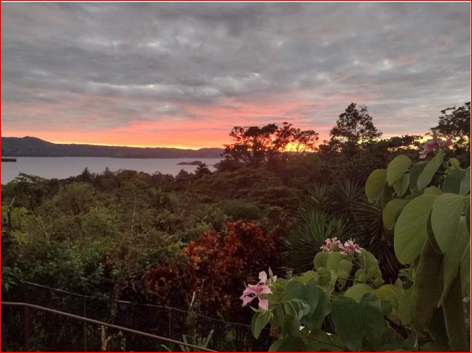 HomesHotel - B&B for sale in All ZonesNuevo Arenal Costa Rica