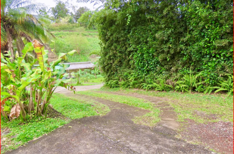HomesHotel - B&B for sale in All ZonesNuevo Arenal Costa Rica