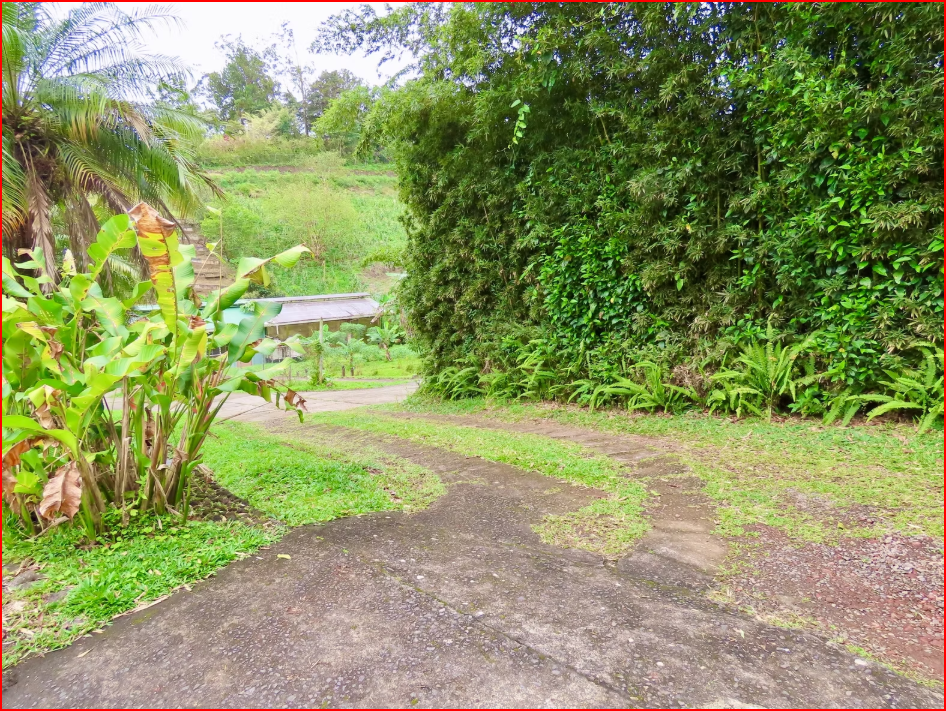 HomesHotel - B&B for sale in All ZonesNuevo Arenal Costa Rica