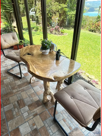 Homes for sale in All ZonesLake ArenalTilarán Costa Rica