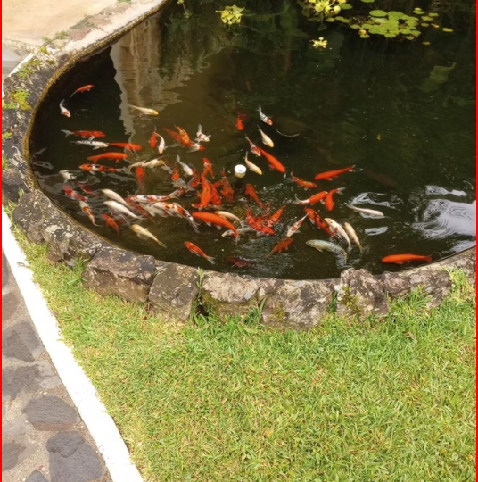 Homes for sale in Nuevo Arenal Costa Rica