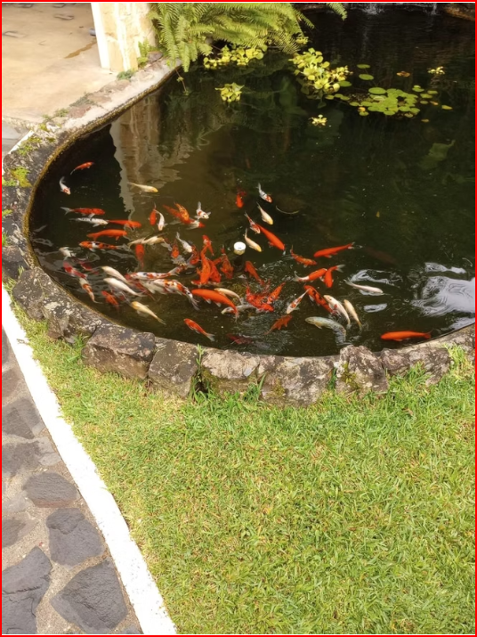 Homes for sale in Nuevo Arenal Costa Rica