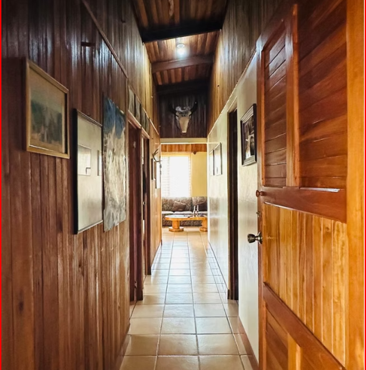 Homes for sale in Lake Arenal Costa Rica