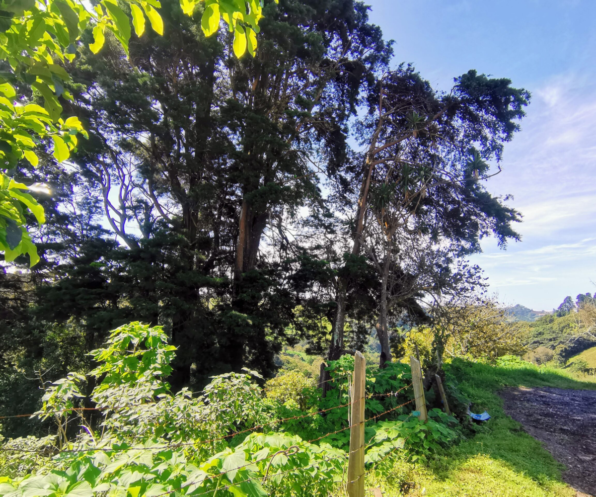 Building Lots for sale in Alajuela Costa Rica