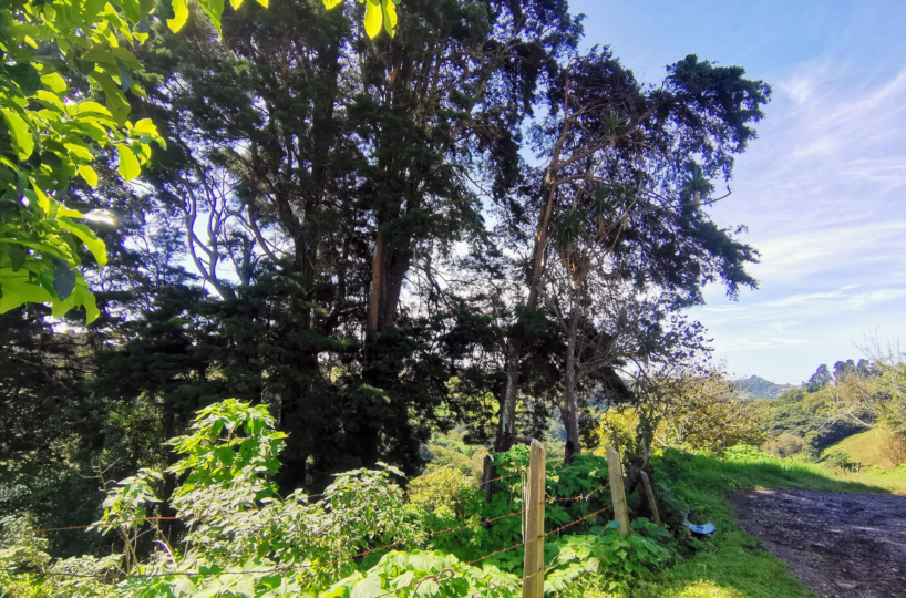 Building Lots for sale in Alajuela Costa Rica
