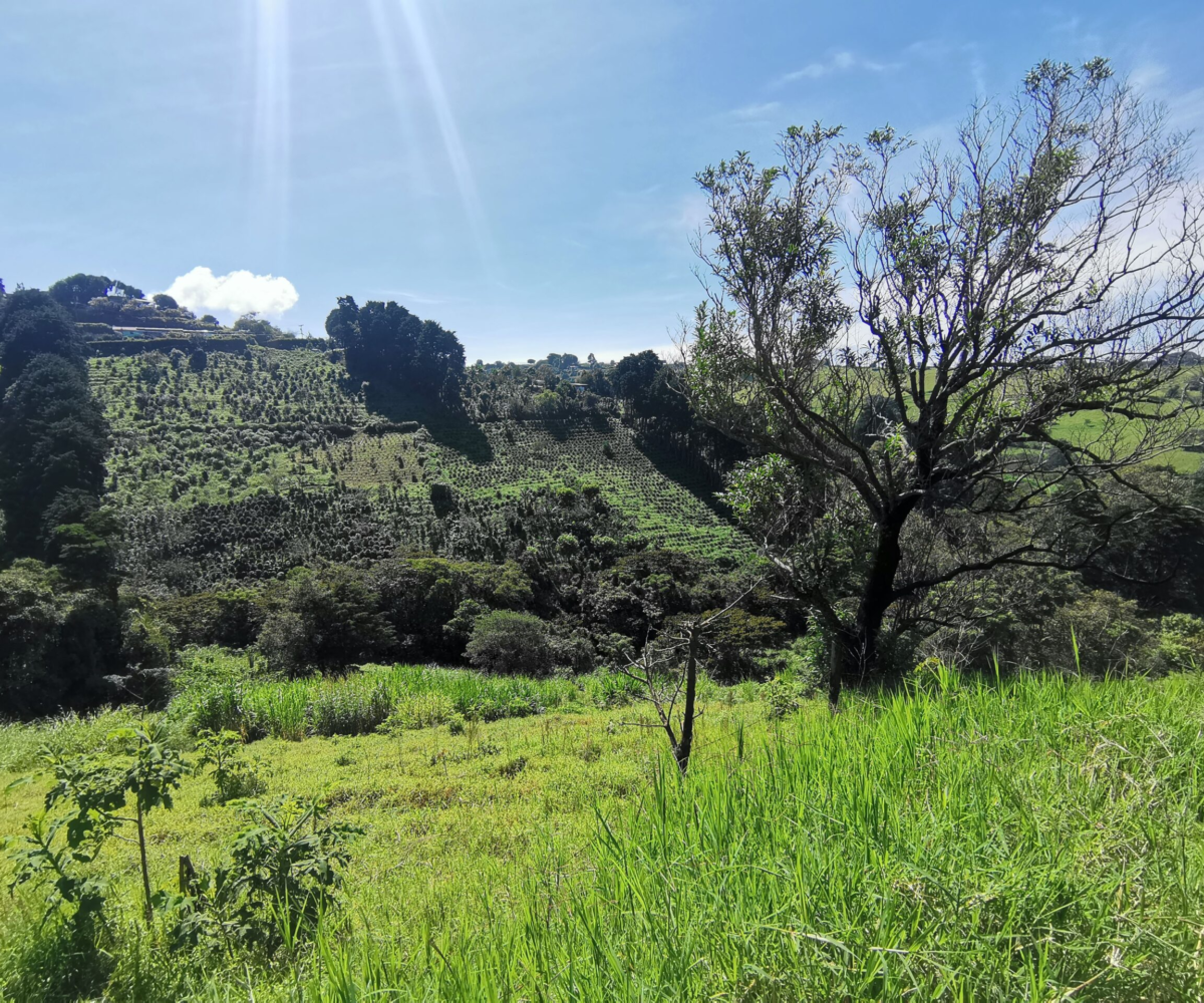 Building Lots for sale in Alajuela Costa Rica