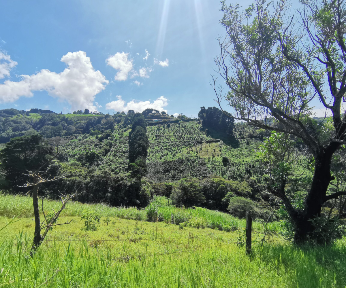 Building Lots for sale in Alajuela Costa Rica