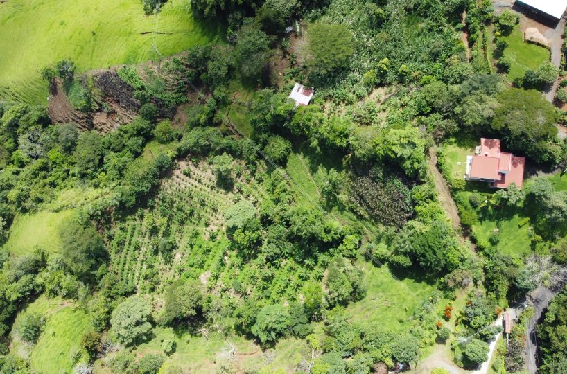 Homes for sale in Puriscal Costa Rica