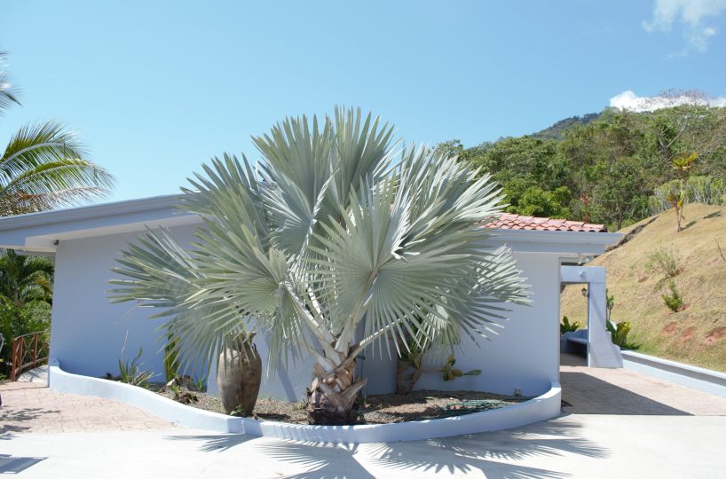 Homes for sale in Puriscal Costa Rica